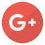 Google + icon